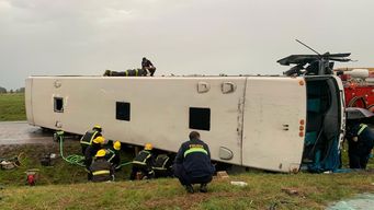 fiscal dispuso pericias al omnibus de nunez accidentado en ruta 8 y examenes al cuerpo del conductor fallecido