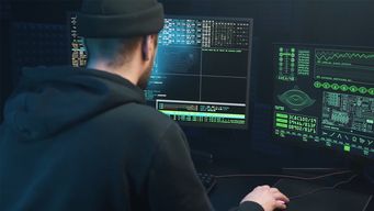 ciberdelitos contra sitios web del estado: agesic en alerta registra siete casos desde el 1º de marzo