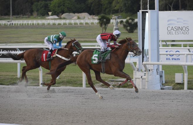 Olympic Harvard turf 1 (1).jpg