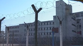 el fa propone cambiar este ano articulo de la luc que aumento prision de mujeres por entrar droga a carceles