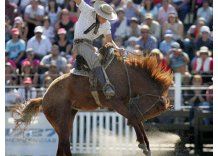 Hoy comienza la Criolla del Prado y la del Parque Roosevelt