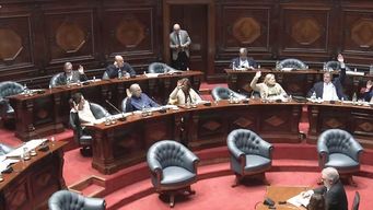 Votación en el Senado. Foto: archivo Subrayado.