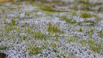 comienzo de semana muy frio, con heladas y minimas bajo cero; el informe de nubel cisneros