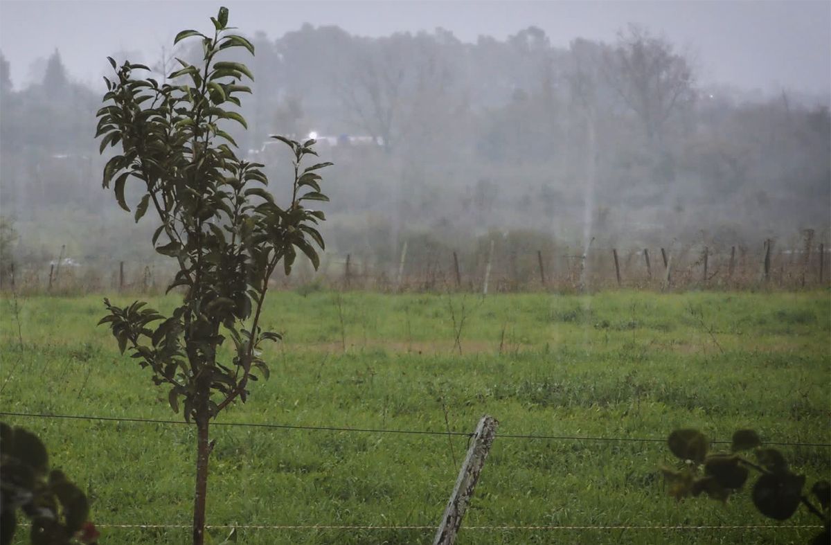 Lluvias caídas en las últimas 24 horas: la máxima nacional fue en Laguna Merín con 105 milímetros