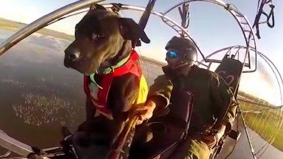 un argentino recorre america del sur en parapente acompanado por su perro