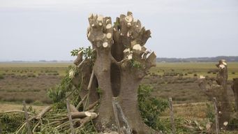 Intendencia de Maldonado