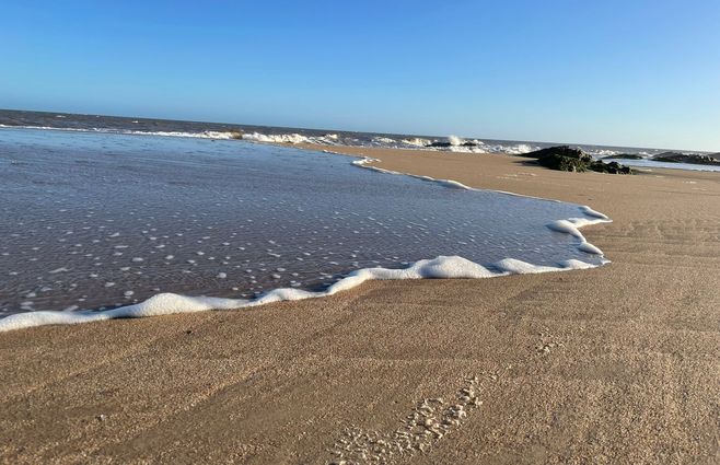 VERANO - PLAYA PUNTA.jpeg