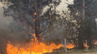 Foto: Silvana Goicoechea