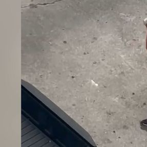 Edil plantea que IMM prohíba a cuidacoches no registrados mediante Ley de Faltas: Es una situación de extrema gravedad Edil plantea que IMM prohíba a cuidacoches no registrados mediante Ley de Faltas: Es una situación de extrema gravedad