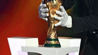 la fifa se disculpa con lionel scaloni por no dejarle tocar el trofeo del mundial