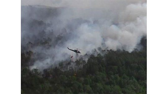 Incendio en Rocha sigue sin control; ya consumió 300 hectáreas