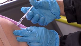 brasil suspende una vacuna contra el dengue tras dos muertes sospechosas