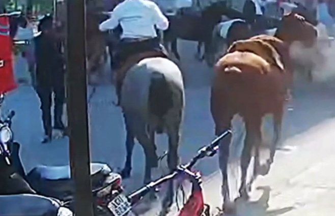 jinete-paysandu-caballos-apuñalado-homicidio.jpg