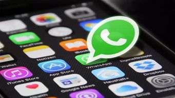 ahora en whatsapp todos los usuarios pueden hacer encuestas: ¿como funciona?