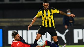 penarol empato con albion y sigue sin ganar en el apertura: fue 1 a 1