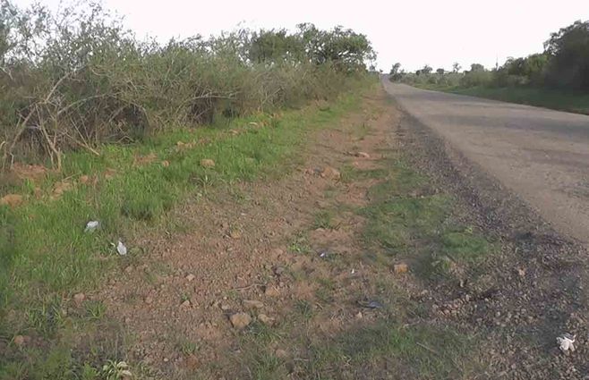 camino-vecinal-artigas.jpg