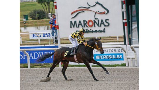 Asiatic Gin y Sir Fever en una polla apasionante en Maroñas