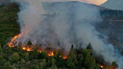 incendio forestal devora 6.500 hectareas de bosque en el sur argentino