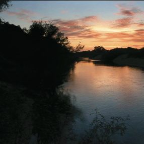 Foto: Silvia Techera Foto: Silvia Techera