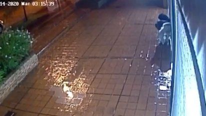 intentaron robar una perfumeria y fueron sorprendidos infraganti; todo quedo registrado