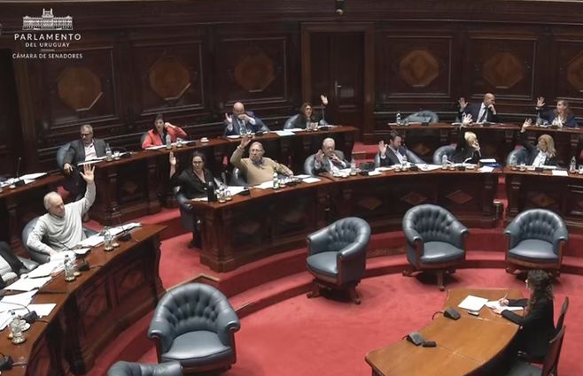 parlamento-voto-ley-integral