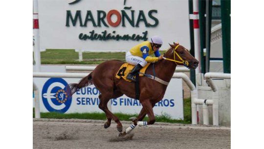 Nuestros candidatos ganaron los tres clásicos del domingo