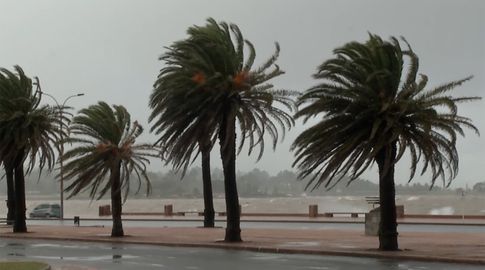 Rige advertencia amarilla de Meteorología por vientos fuertes y persistentes en la costa