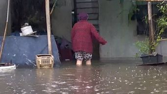 vecinos del barrio las palmas sufrieron inundaciones y solicitan colaboracion
