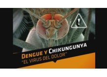 MSP lanzó campaña contra mosquito transmisor del dengue y la chicungunya