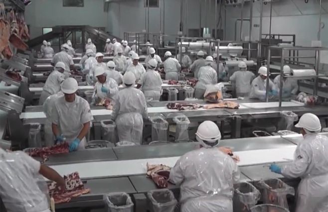 frigorifico-planta-carne-exportacion.jpg
