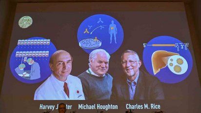 nobel de medicina para tres descubridores del virus de la hepatitis c