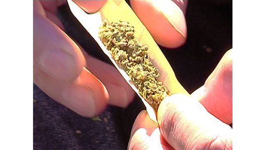 Posiciones dispares en el interior por legalización de marihuana