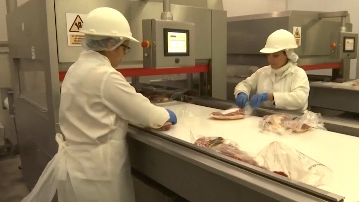 Exportación uruguaya de carne fue rechazada en Chi