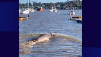 Captura de video cedido a Subrayado.
