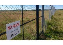 Estado aseguró a farmacias que comprará la marihuana que no se distribuya