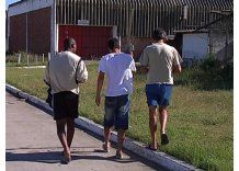 La mitad de los presos son primarios y el 36% delinquió drogado