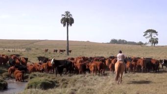 comienza este jueves el censo agropecuario a productores de todos los rubros del pais