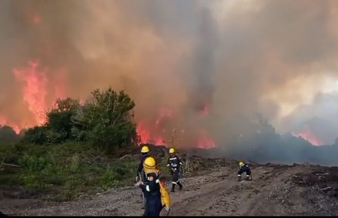 INCENDIO-SAN-CARLOS.jpg