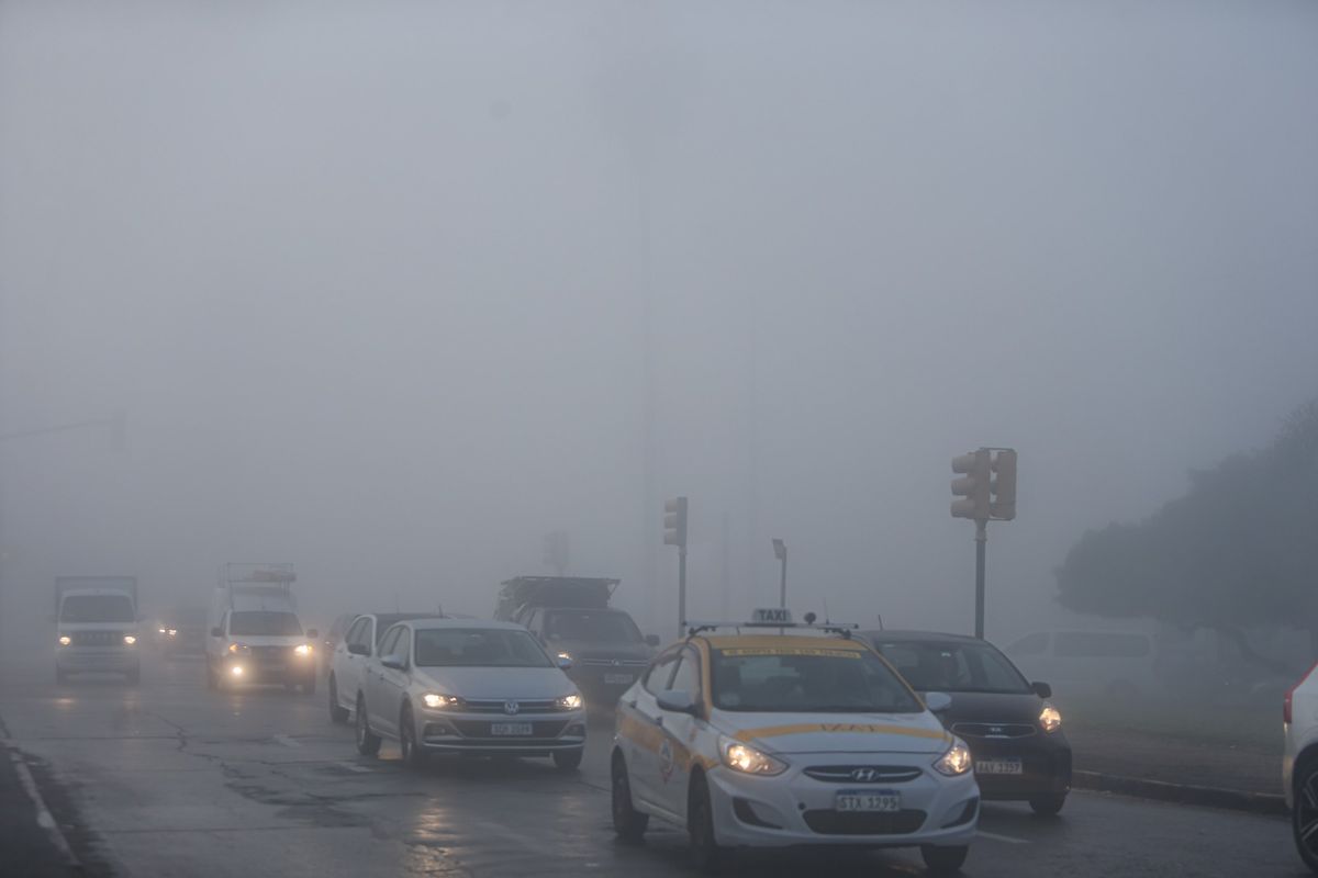 WhatsApp Image 2023-06-16 at 09.07.41 (3).jpeg