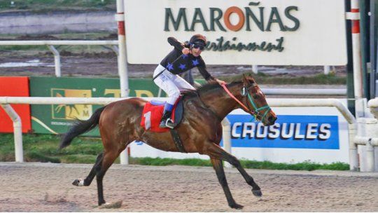 turf don pepin
