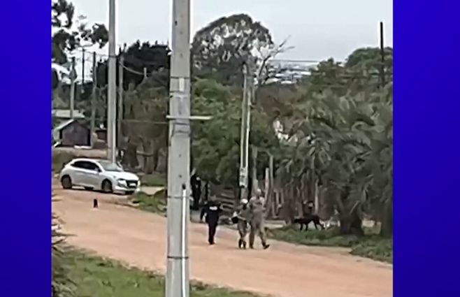 detenido-castillos-rocha-robo