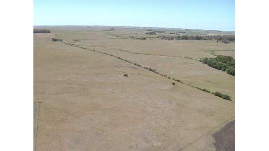 Gobierno no sabe cuánta tierra está en manos de extranjeros