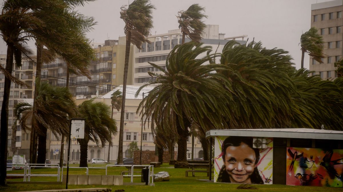 Triple advertencia por vientos fuertes y persistentes que pueden alcanzar rachas de 90 km/h en algunas zonas