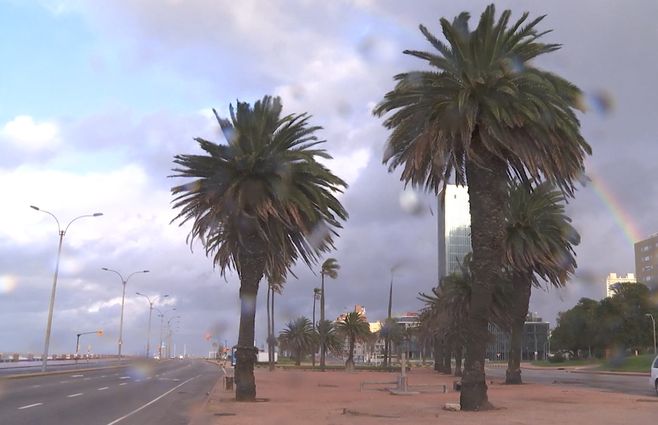 alerta-vientos-inumet-tormenta-advertencia-montevideo-lluvia.jpg