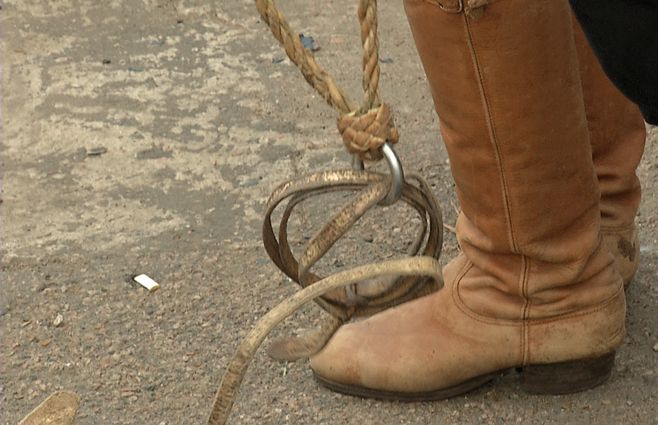 campo-criolla-gaucho-caballo-campaña.jpg