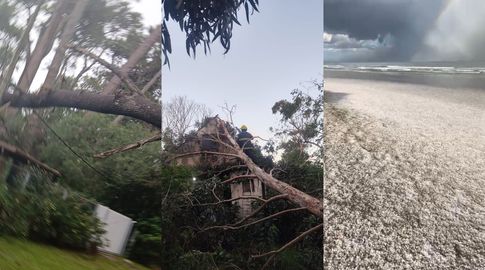 Bomberos registró hasta el momento 57 intervenciones por los fuertes vientos en varios departamentos