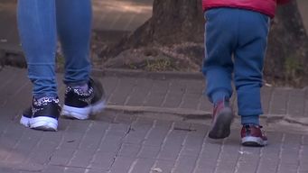 diputados de la coalicion negocian cambios al articulo 4 del proyecto de tenencia compartida