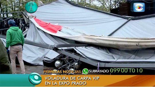 carpa expo prado