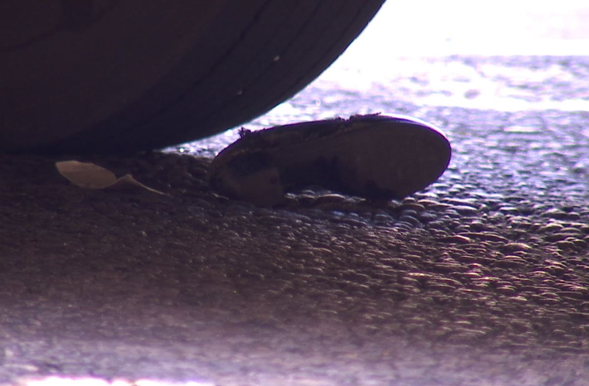 Está en CTI la mujer embestida por un ómnibus de Cutcsa en el Centro; el conductor se encuentra detenido