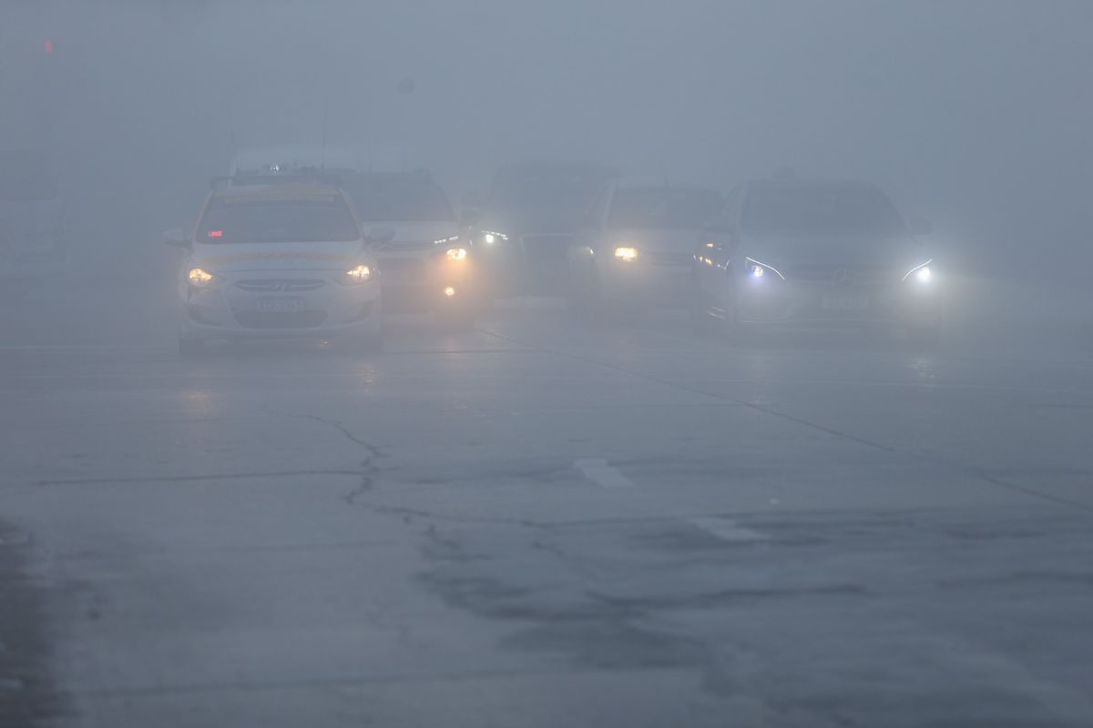 WhatsApp Image 2023-06-16 at 09.07.44.jpeg